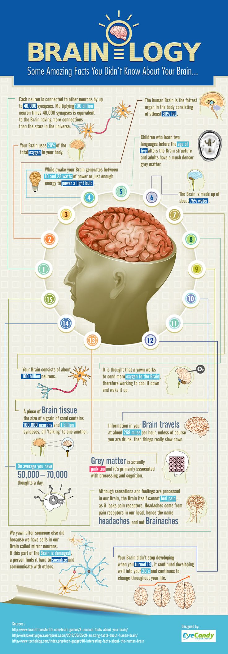 15-brain-amazing-facts