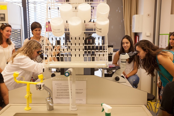 Los investigadores han demostrado los beneficios de combinar la enseñanza basada en problemas con la tradicional en las carreras científicas. (Foto: UPF)