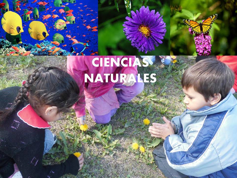 Enseñanza De Las Ciencias Naturales En El Nivel Inicial Cómo Enseñar